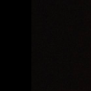 Profile picture of Adiguna