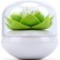 Profile picture of whiteelephantgift
