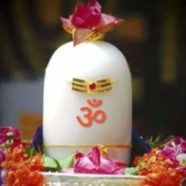 Profile picture of Manjuguruji