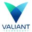 Profile picture of Valiant Technosoft