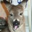 Profile picture of Sally Marella