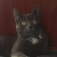 Profile picture of Adam Dare