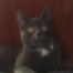 Profile picture of Adam Dare